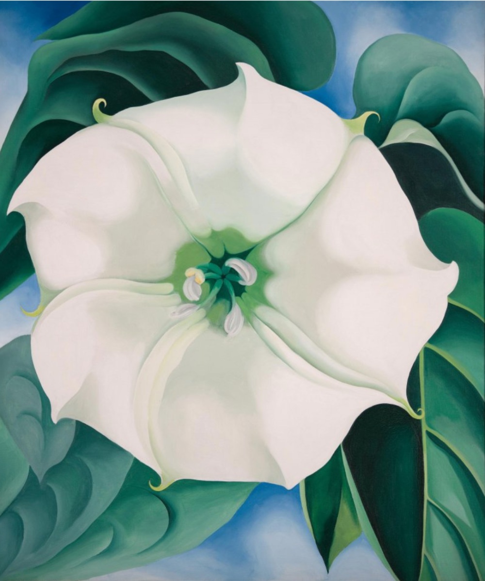 Die Ausstellung von Georgia O'Keeffe erstrahlt in Spanien