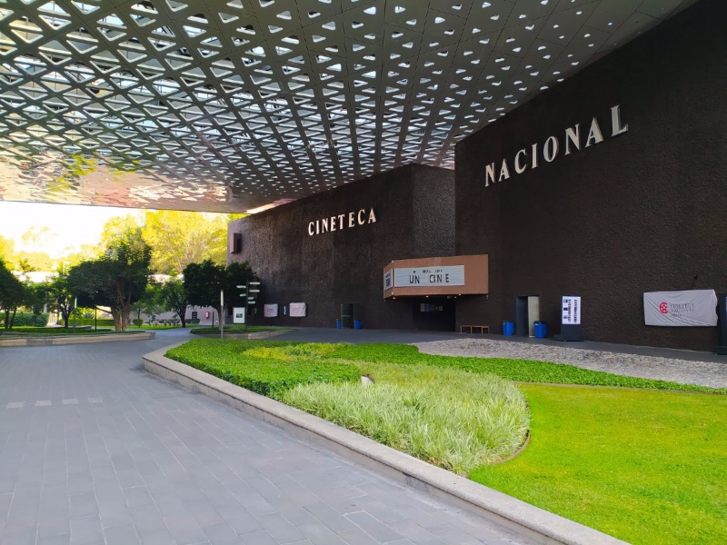 La Cineteca Y Sus Geniales Funciones Al Aire Libre